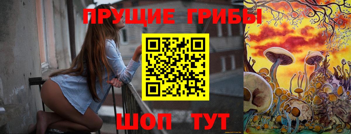 Псилоцибиновые грибы Cubensis Бор